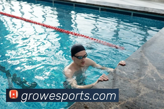 体育下注平台生态图